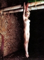 Courtney Love hanging naked