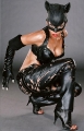 Halle Berry wearing cat-woman suite