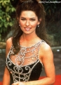 Shania Twain wearing glamorous dress