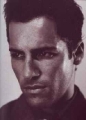 Hot Alex Dimitriades