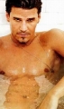 Nude David Boreanaz posing sexy 