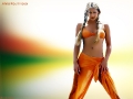 Nice wallpaper with Anna Kournikova