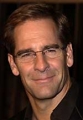 Scott Bakula looks hot