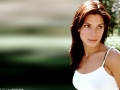 Sandra Bullock neckline wallpaper