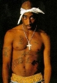 2Pac Amaru shakur chest