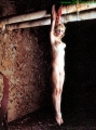 Courtney Love hanging naked