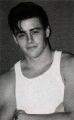 Matt LeBlanc looks sexy