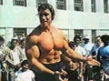 Arnold Schwarzenegger looks hot
